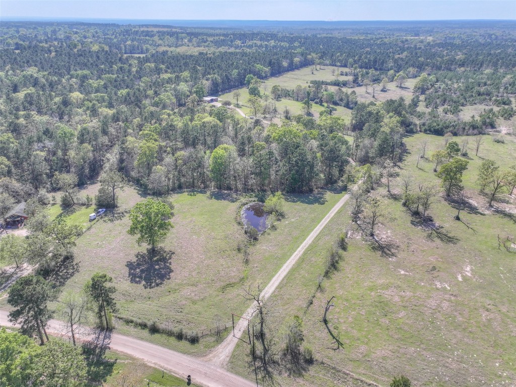 299 North Ghost Branch Road Trinity, TX 75862 - Photo 40 of 48
