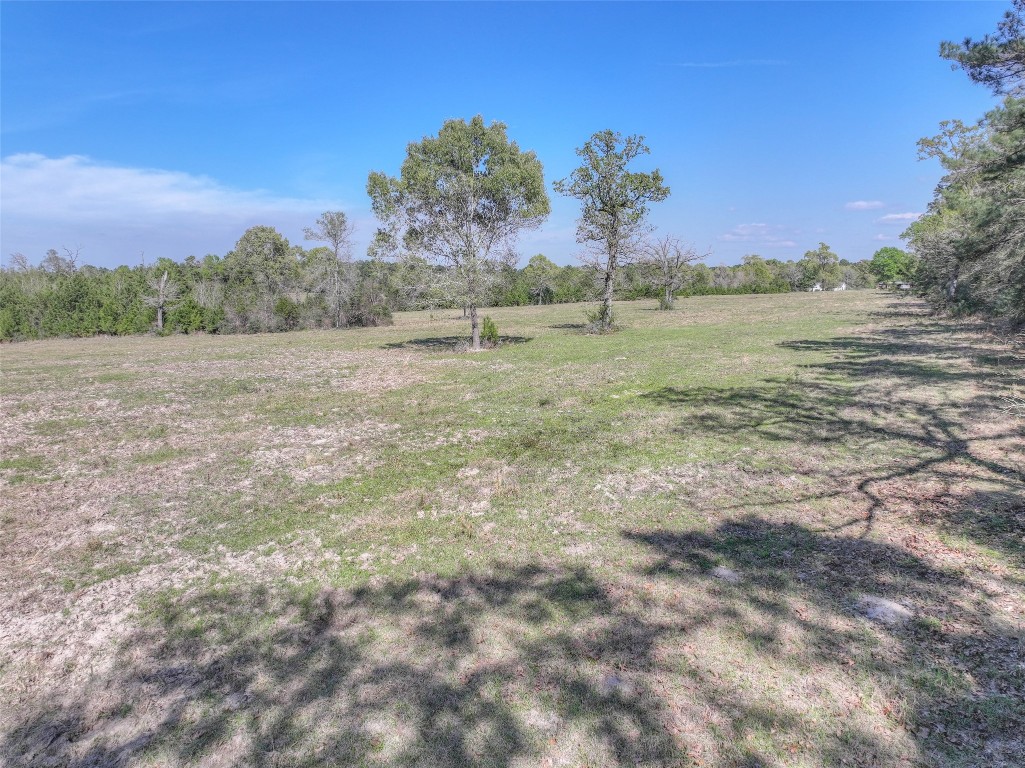 299 North Ghost Branch Road Trinity, TX 75862 - Photo 41 of 48