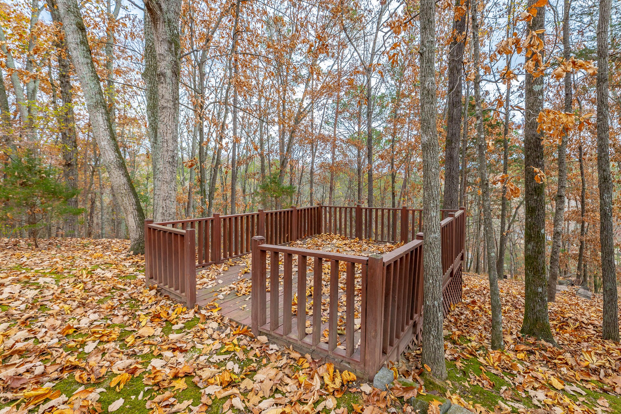 6729 Water Acres Road Harrison, TN 37341 - Photo 30 of 44 Gallery Image 30