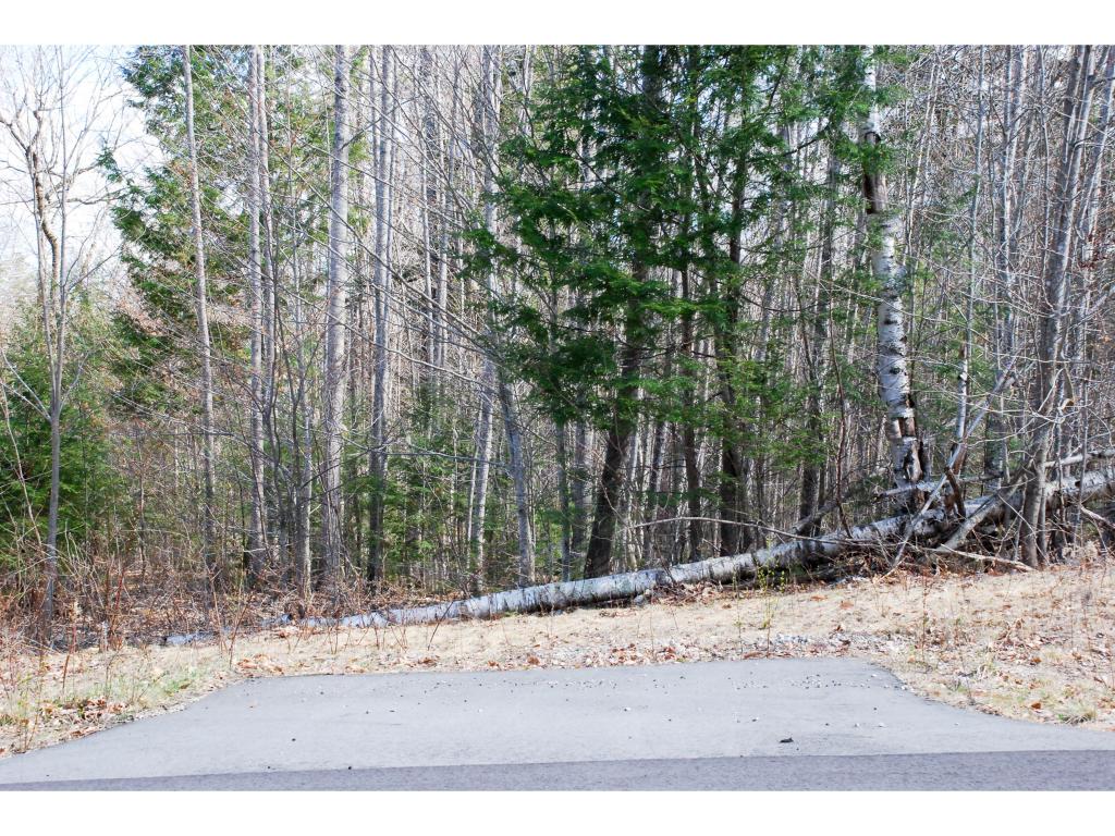 61 Grandview Road Conway, NH 03818 - Photo 1 of 10