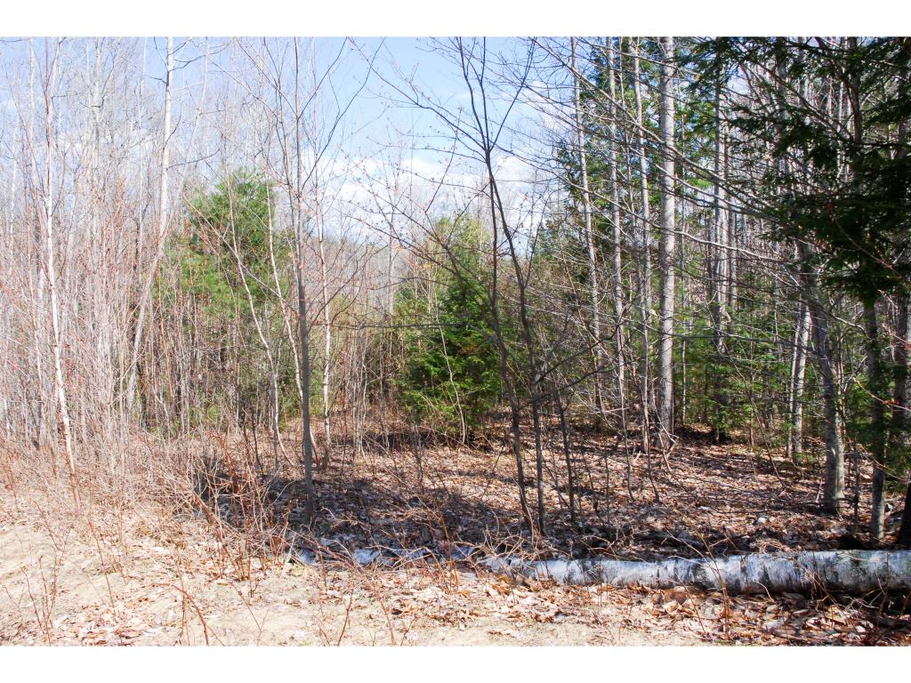 61 Grandview Road Conway, NH 03818 - Photo 10 of 10