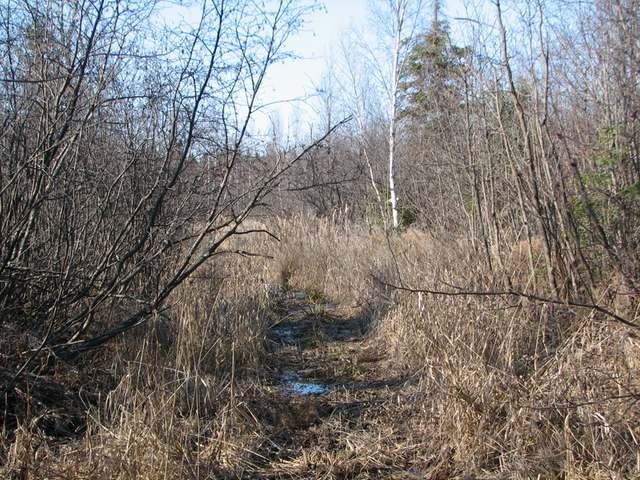 Off Off Vension Drive Prentice, WI 54556 - Photo 15 of 16 Gallery Image 15