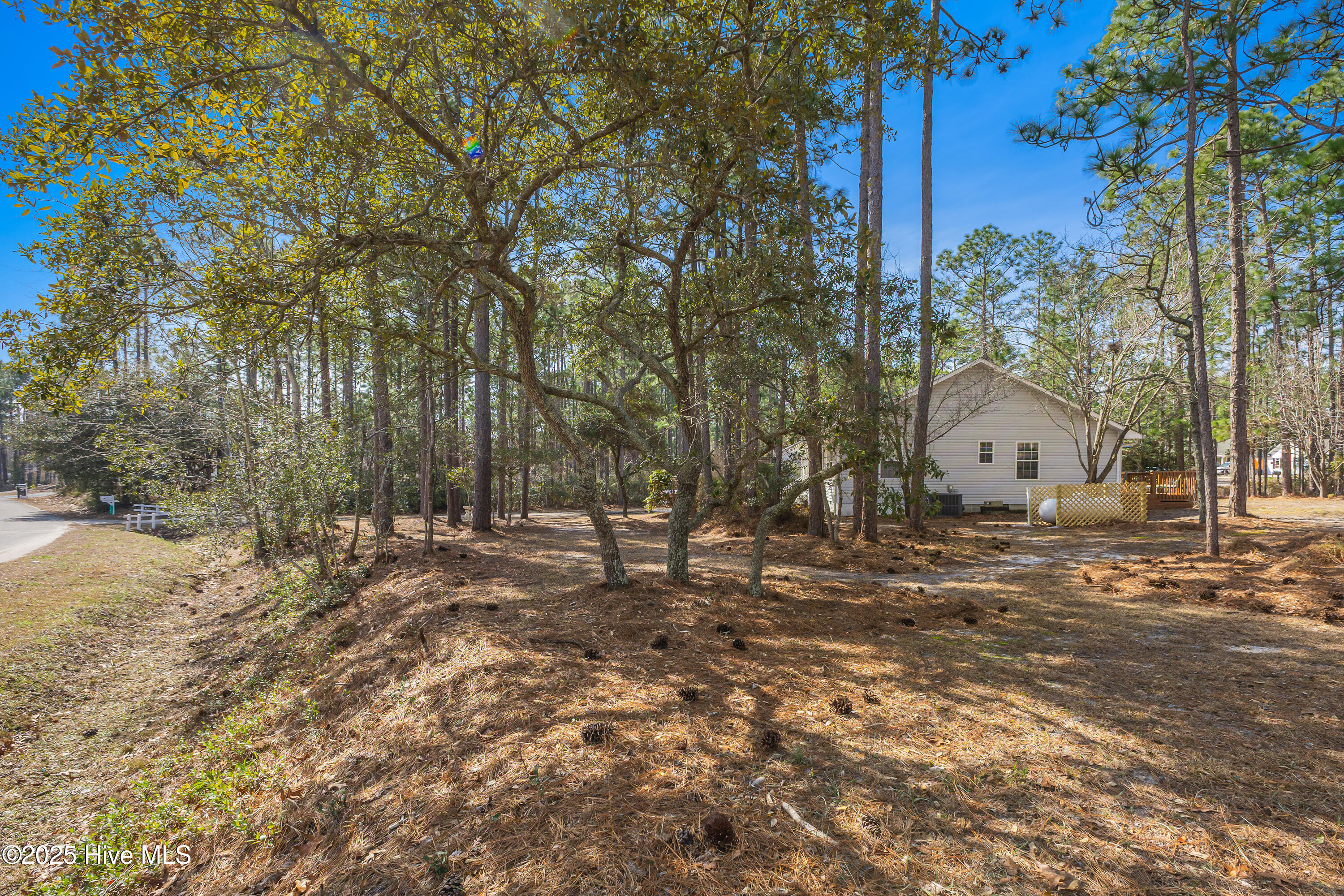 1393 Grace Road Boiling Spring Lakes, NC 28461 - Photo 31 of 31 1393 Grace-3