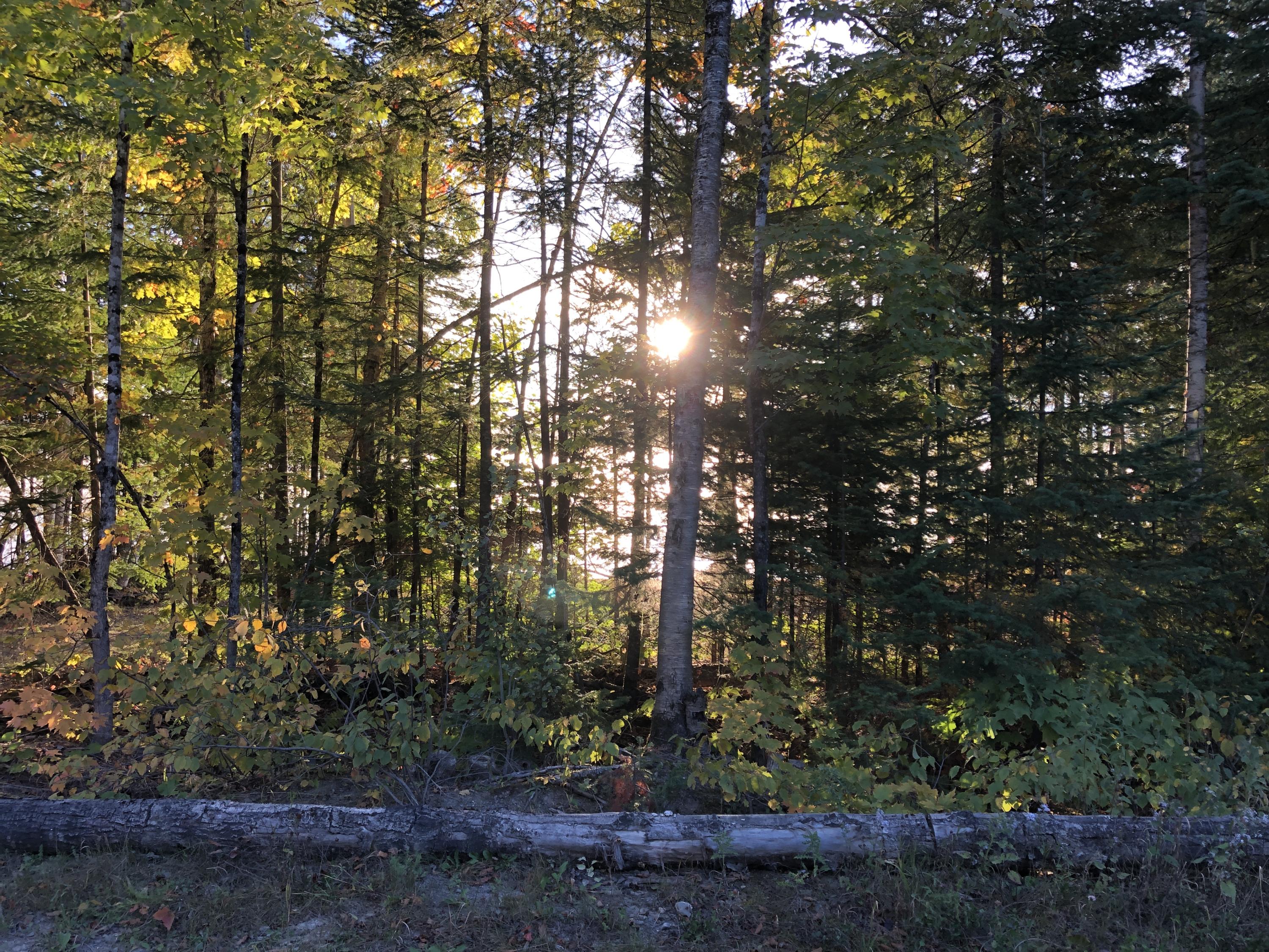 691 Little Madawaska Lake Road Stockholm, ME 04783 - Photo 5 of 21 691 Little Madawaska Lake Westmanland (6