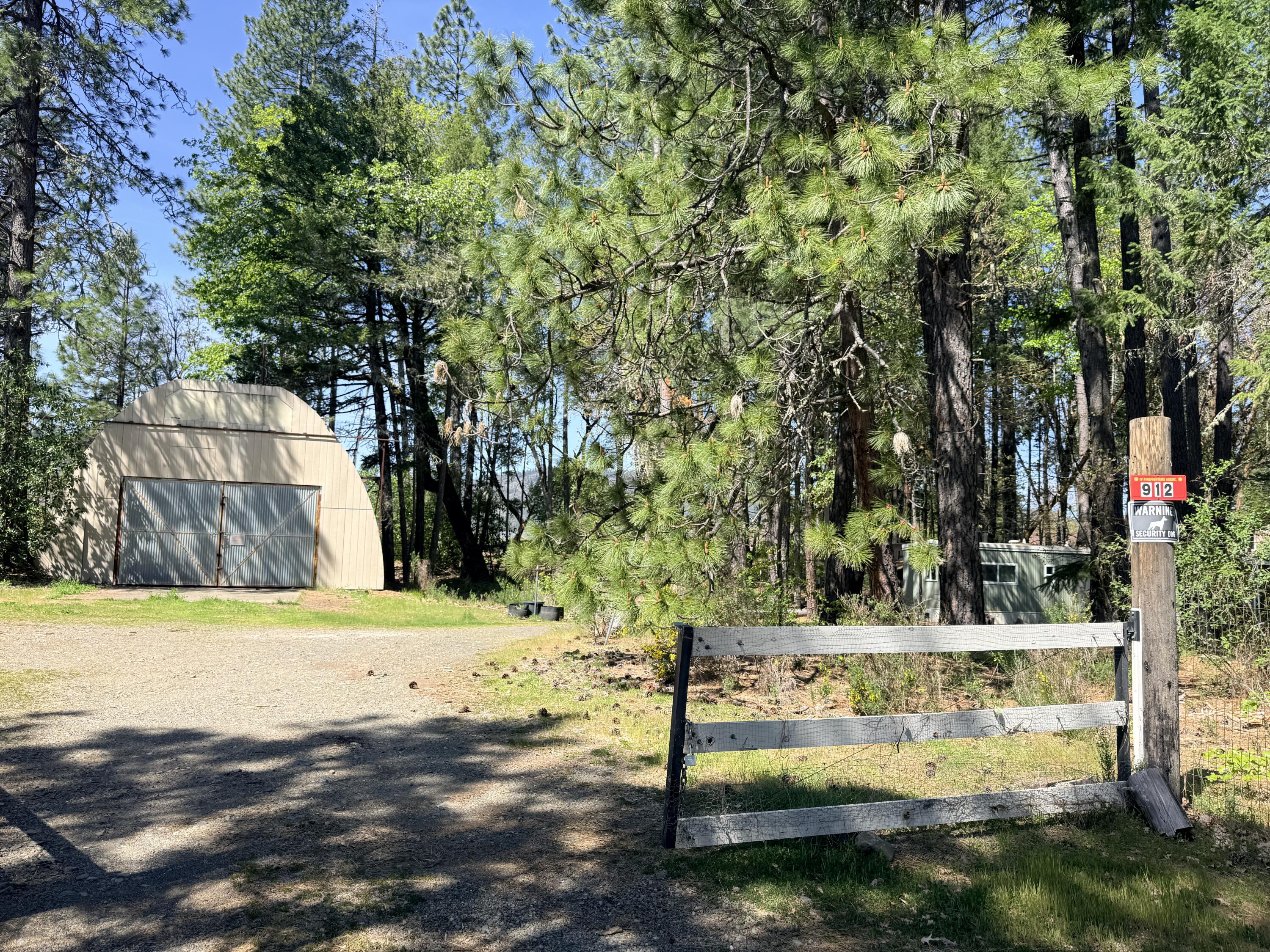 IMG_3382 (1)