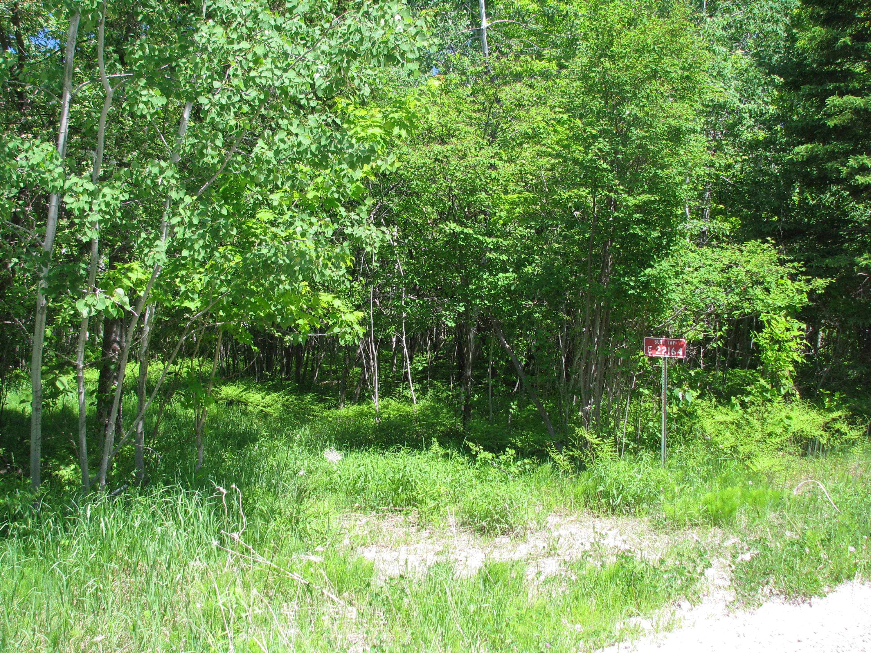 22164 Webb Road Grand Marais, MI 49839 - Photo 1 of 3 Gallery Image 1