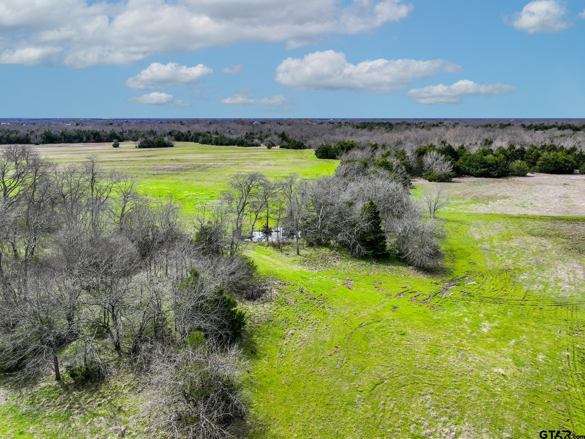 0 Fm 903 Celeste, TX 75423 - Photo 8 of 9