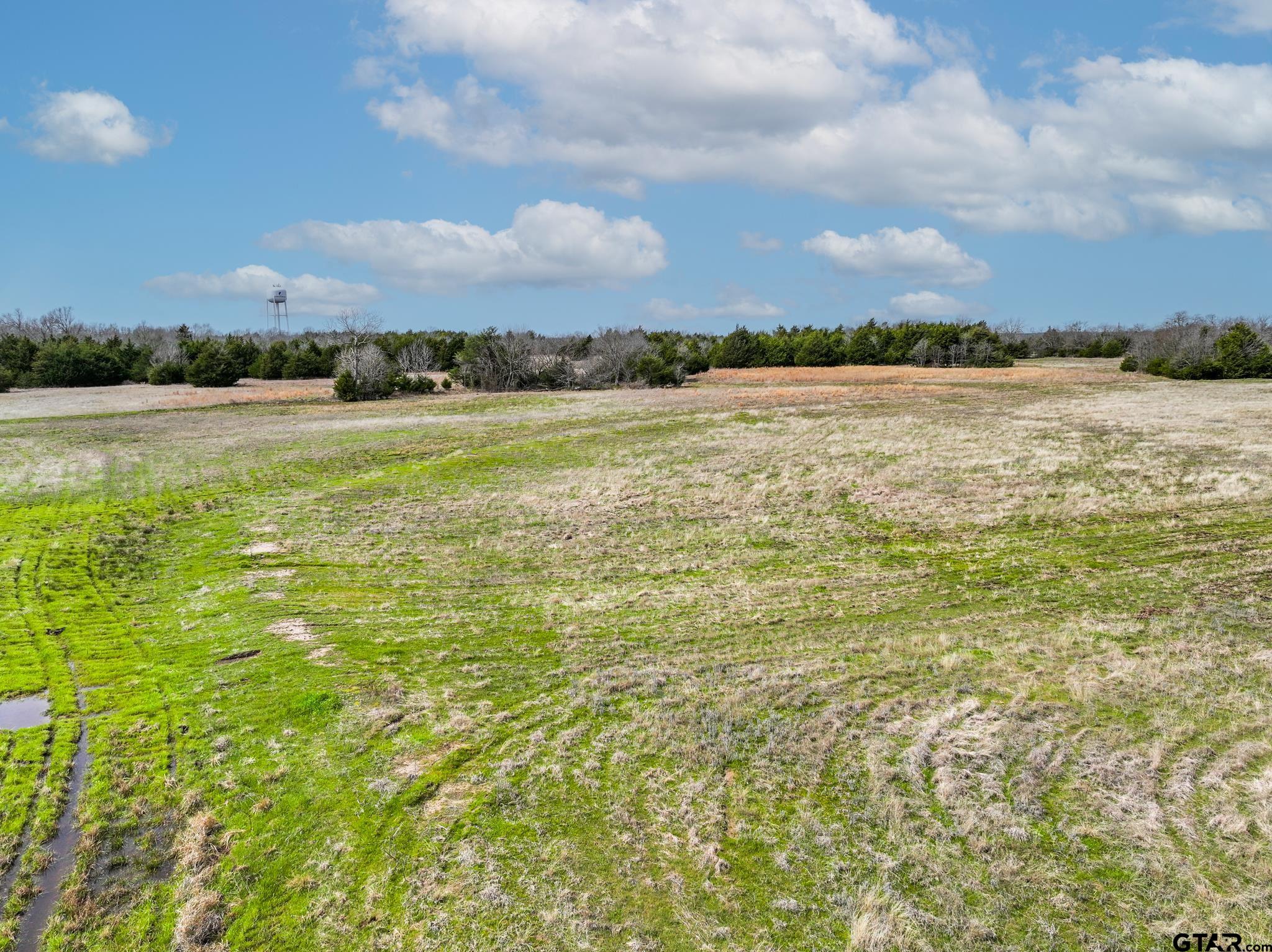 0 Fm 903 Celeste, TX 75423 - Photo 9 of 9