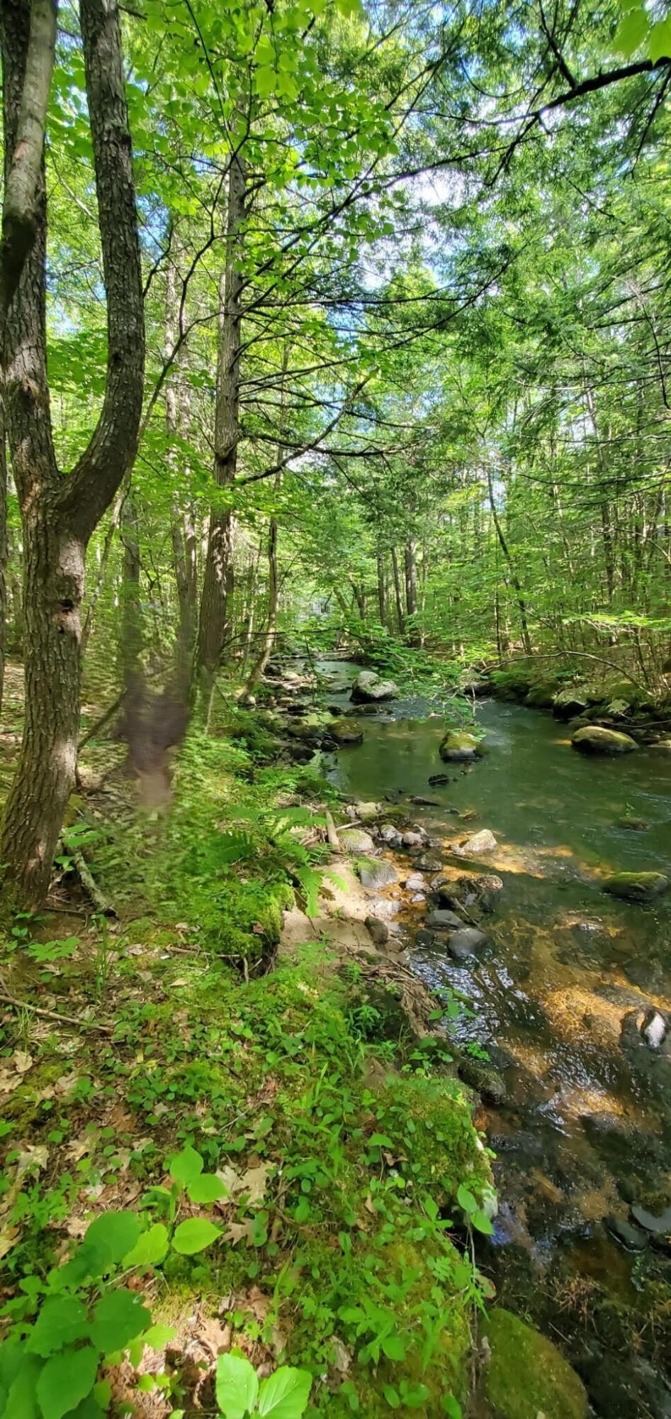 Lot 44 Rolfe Road Harrison, ME 04040 - Photo 1 of 3 Bear River Harrison Maine
