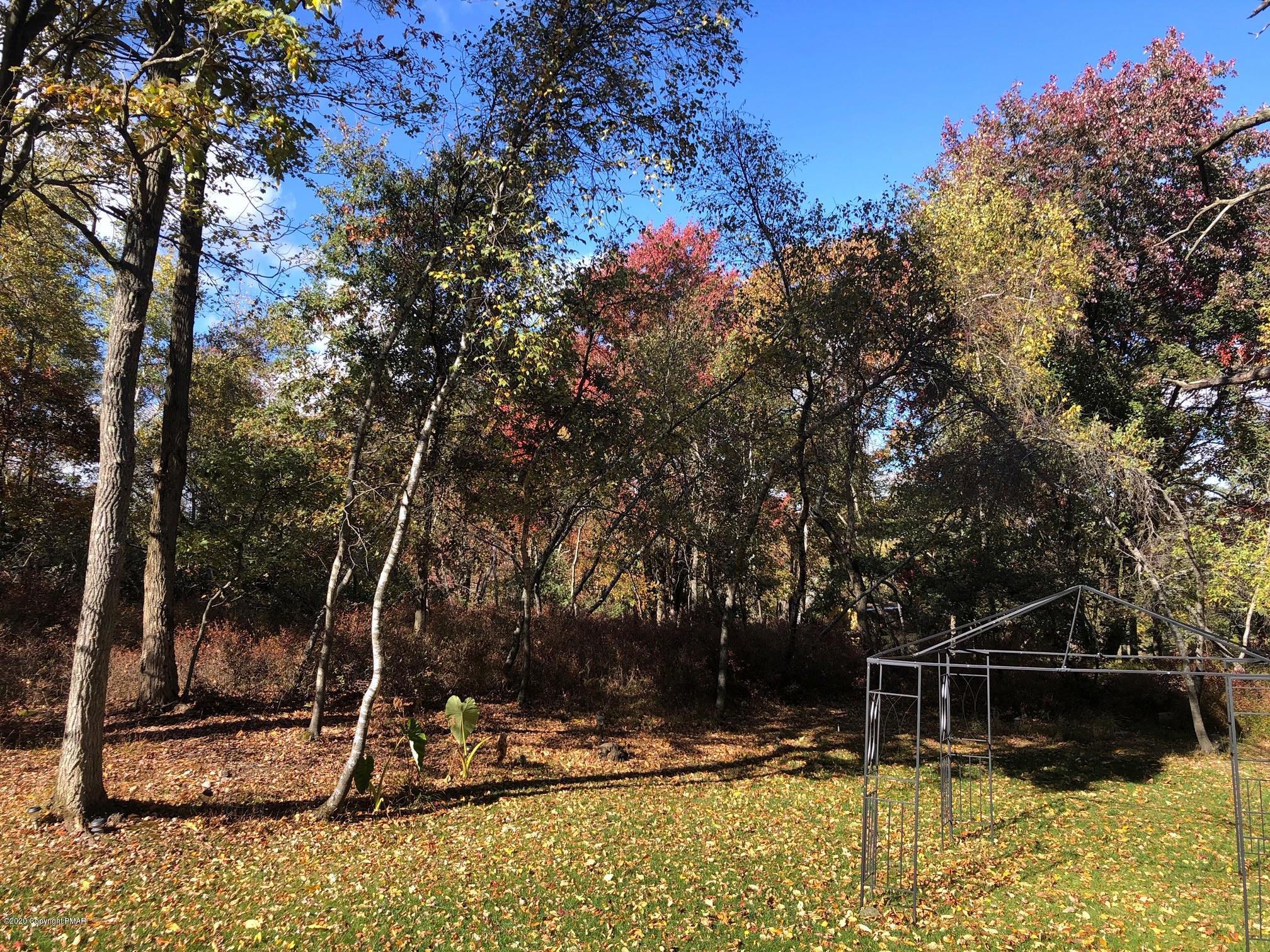 223 Sage Road Long Pond, PA 18334 - Photo 28 of 28 a view of a backyard