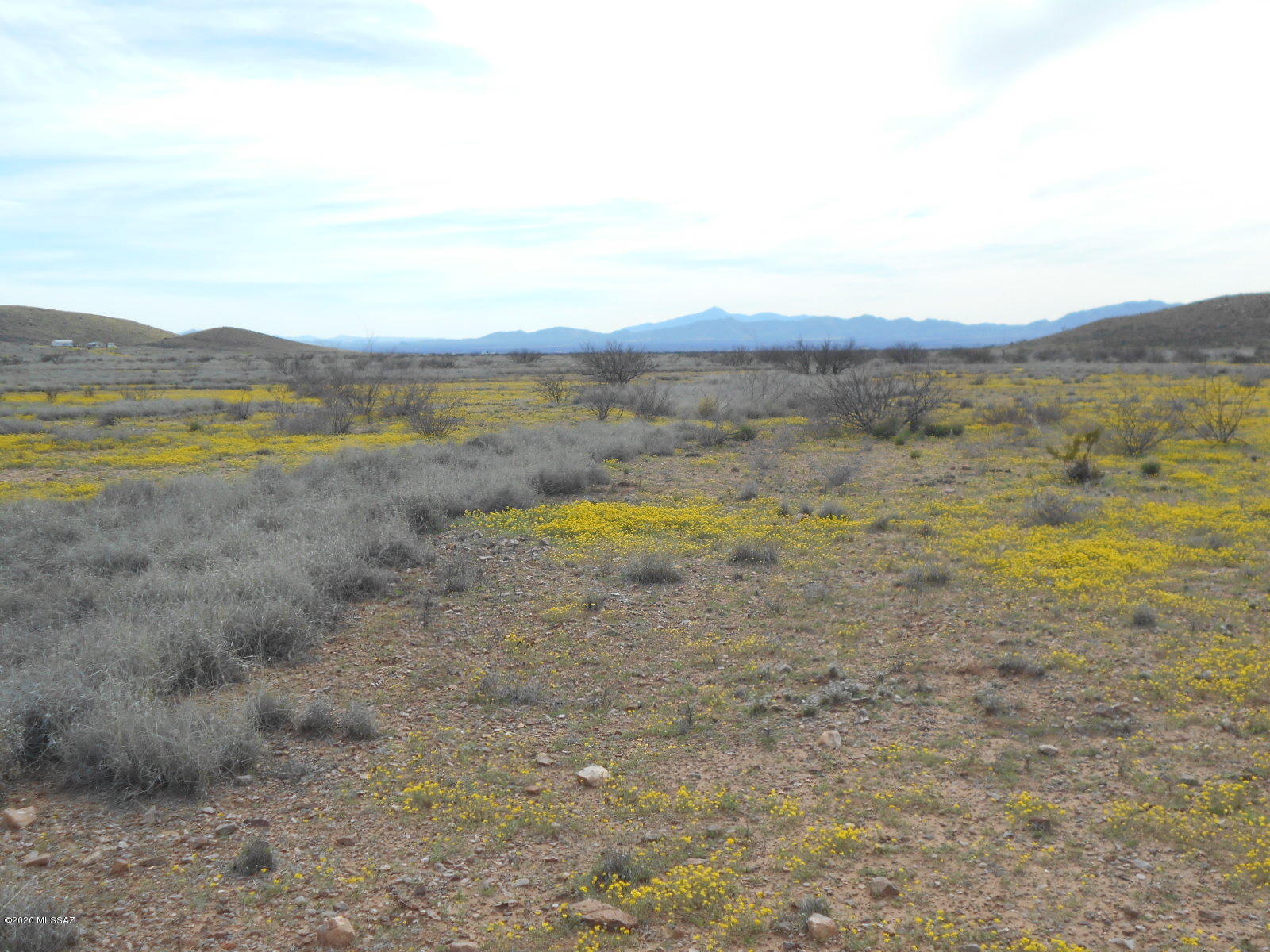 Tbd Double Ranch East McNeal, AZ 85617 - Photo 3 of 24 Gallery Image 3