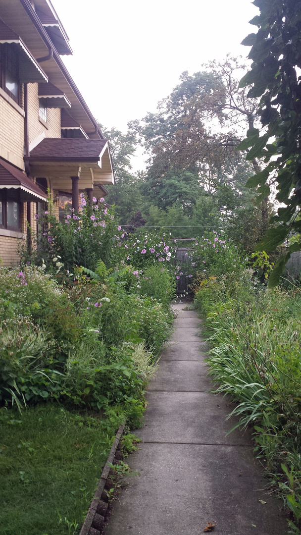 7610 Washington Boulevard River Forest, IL 60305 - Photo 3 of 30 a view of a pathway both side of house