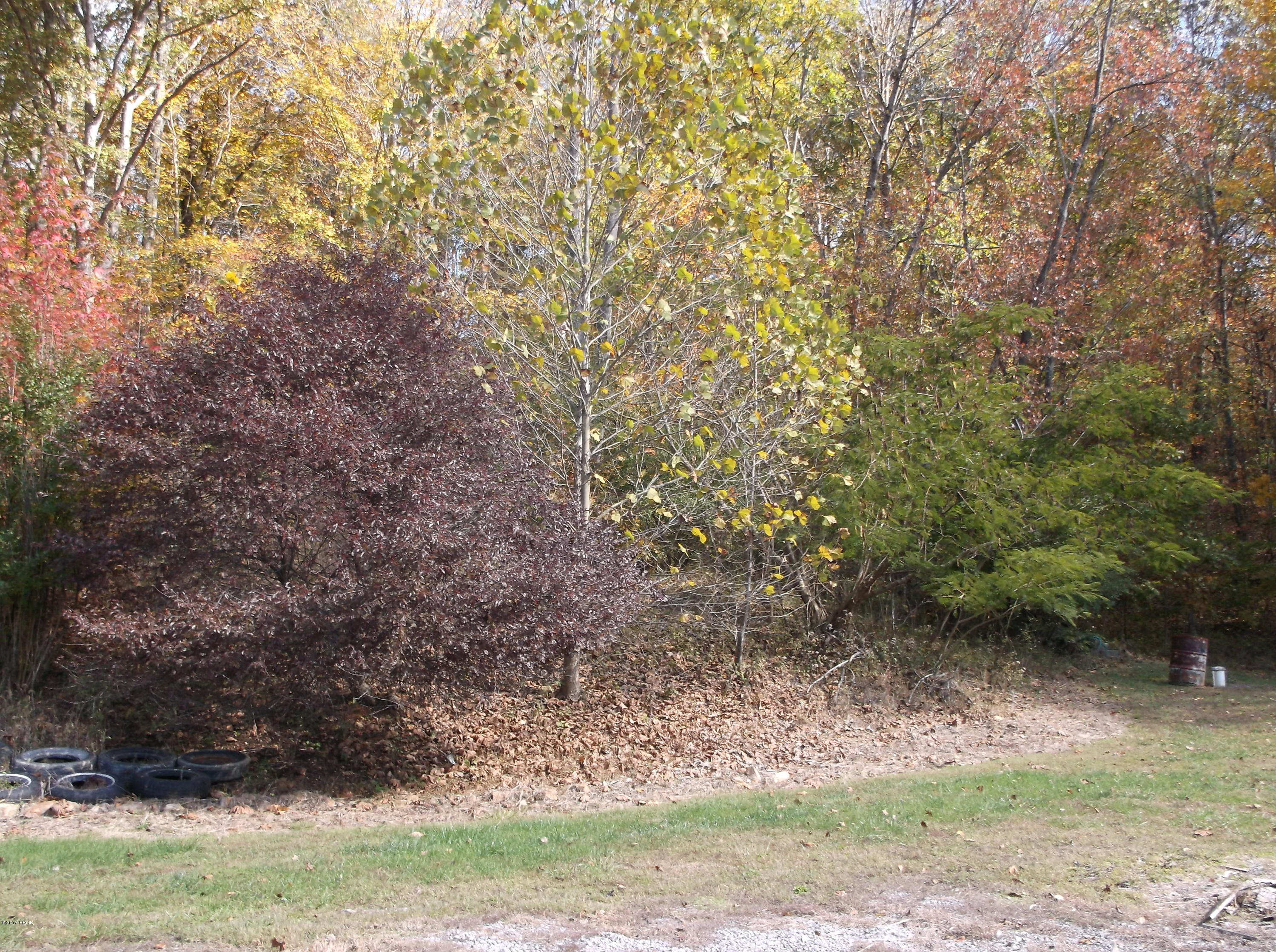 1 Rr Road Elizabethtown, IL 62931 - Photo 14 of 34