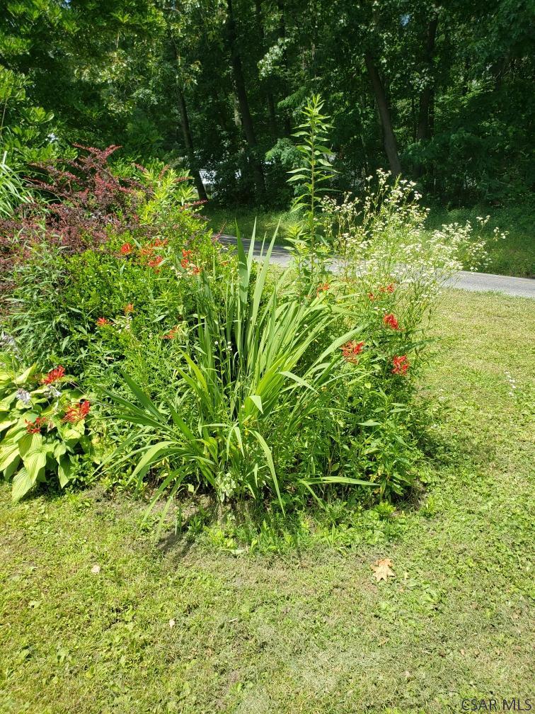 1261 Stoystown Road Friedens, PA 15541 - Photo 52 of 54 Gallery Image 52