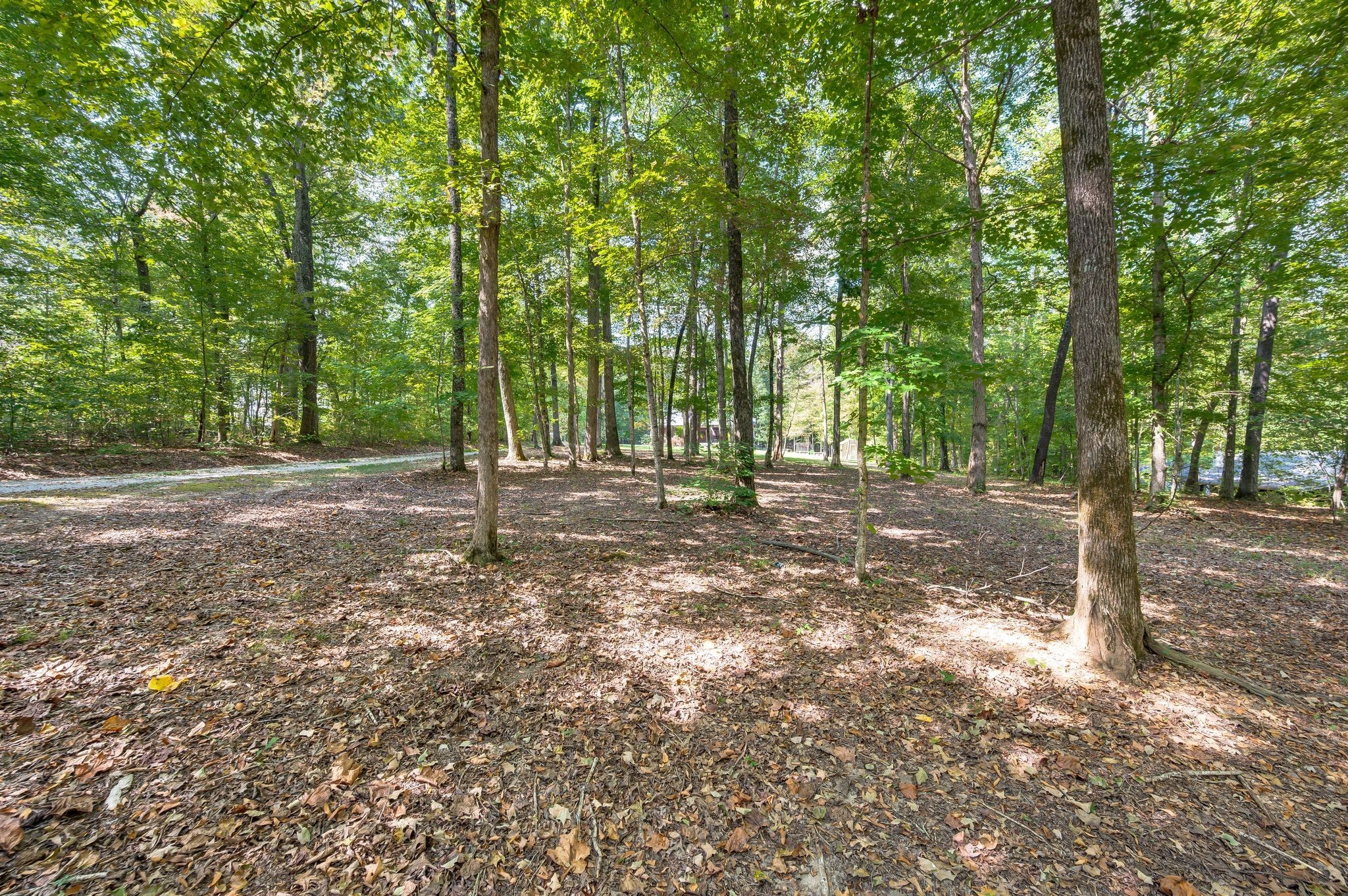 1168 Johnny Hall Road Burns, TN 37029 - Photo 2 of 89