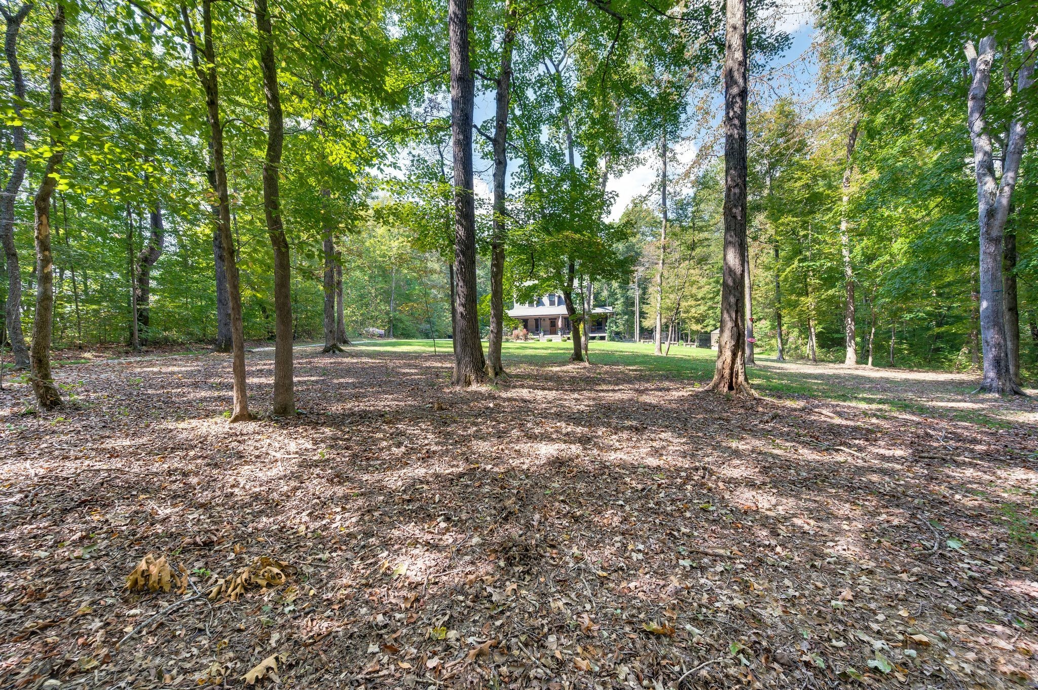 1168 Johnny Hall Road Burns, TN 37029 - Photo 4 of 89