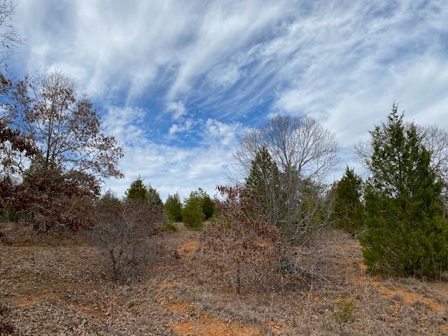 a view of a dry yard with trees and wooden fence