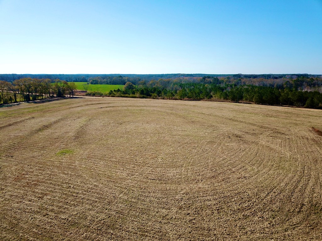 24.6-acres Grant Road Slocomb, AL 36375 - Photo 2 of 17