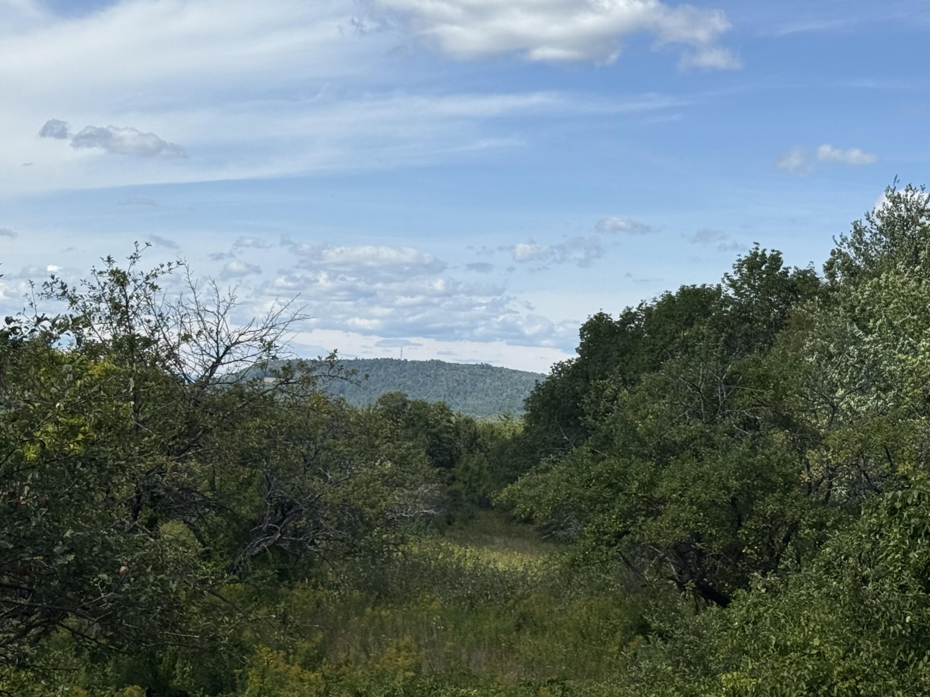 112 Hawk Mountain Road Waterford, ME 04088 - Photo 57 of 70 IMG_3047