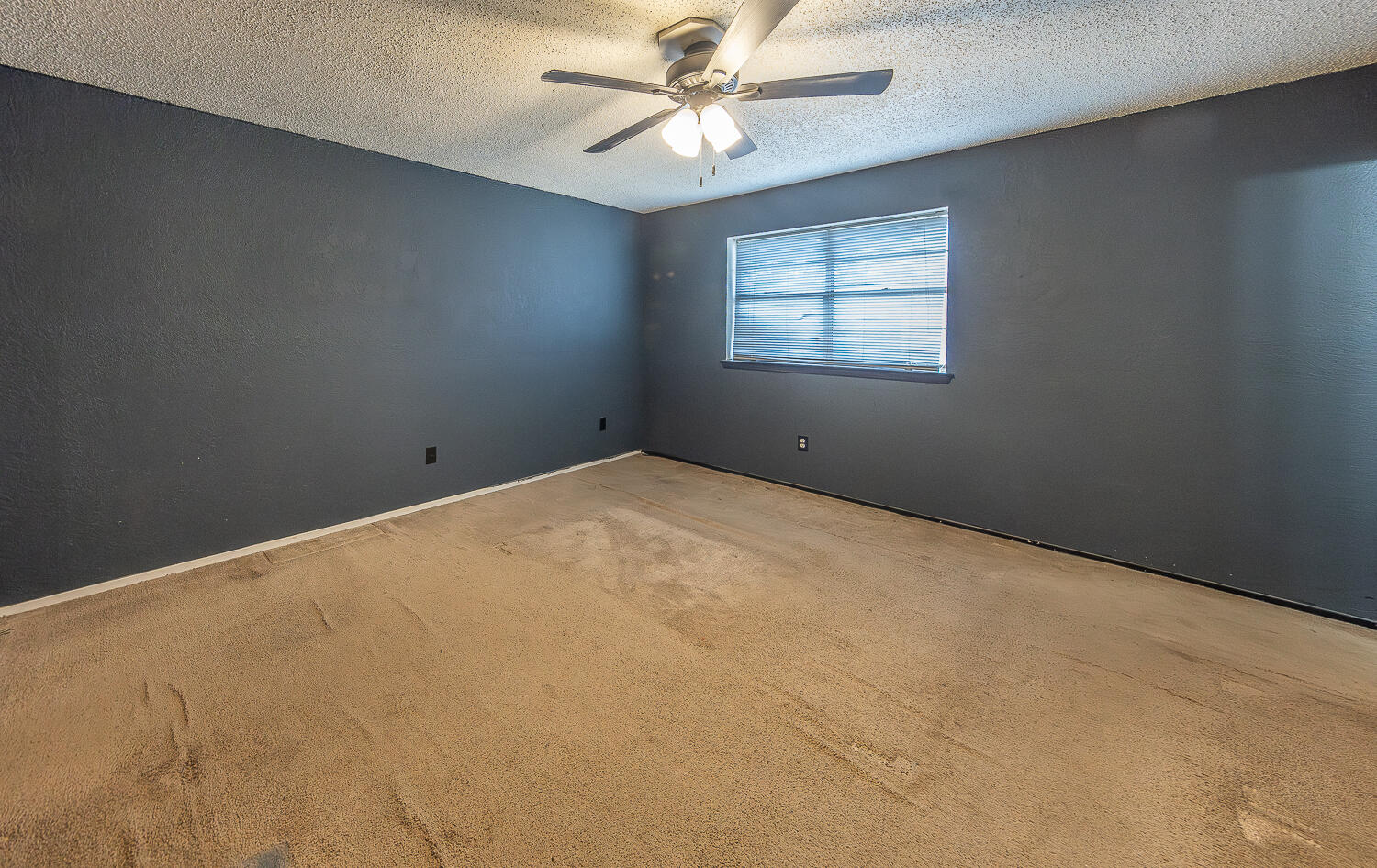 2317 78th Street Lubbock, TX 79423 - Photo 13 of 23 2L9A3923