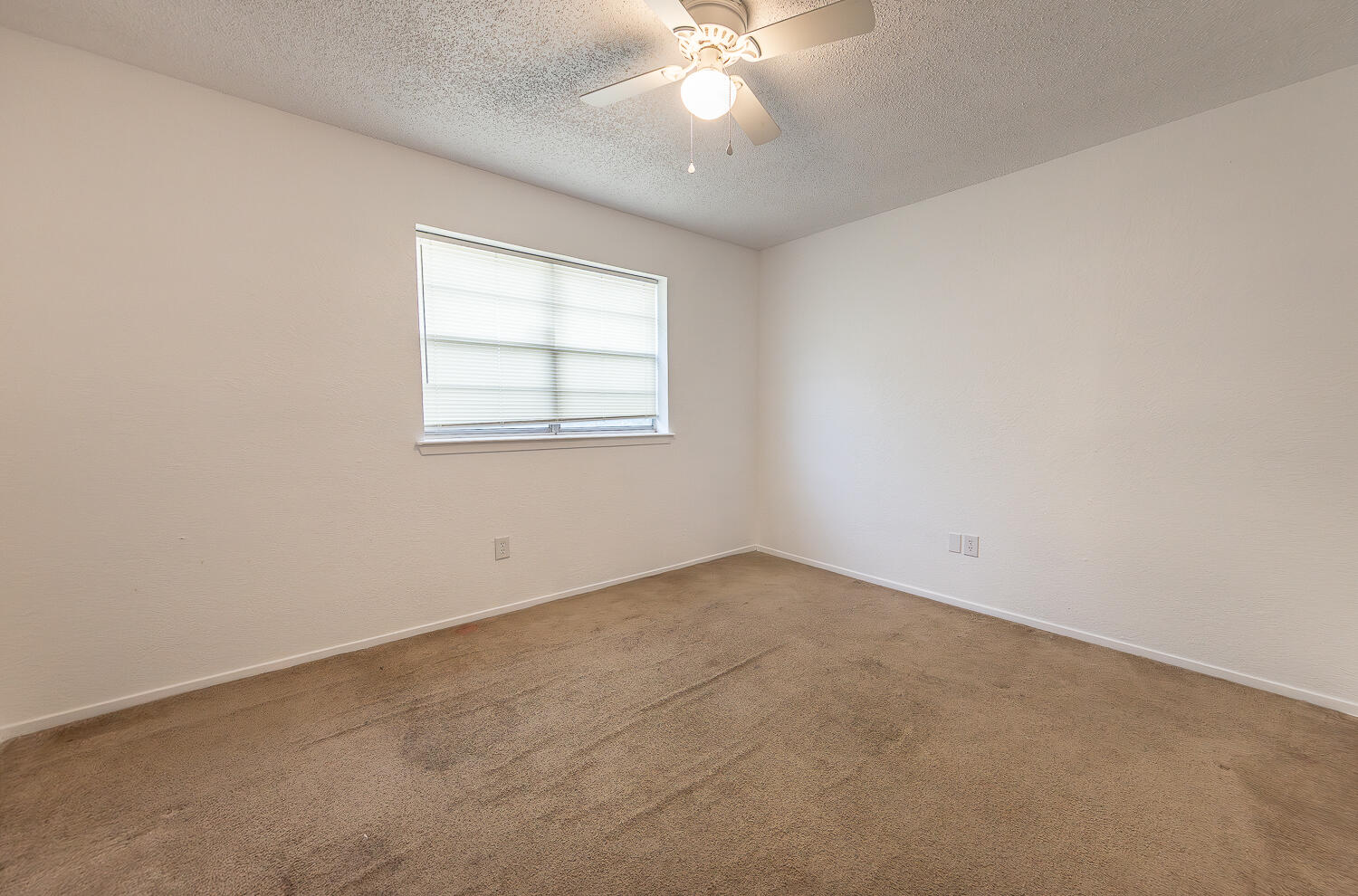 2317 78th Street Lubbock, TX 79423 - Photo 16 of 23 2L9A3943