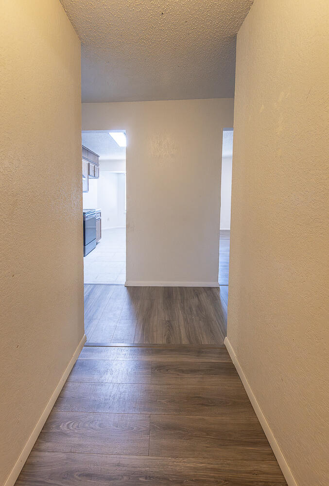 2317 78th Street Lubbock, TX 79423 - Photo 6 of 23 2L9A3851