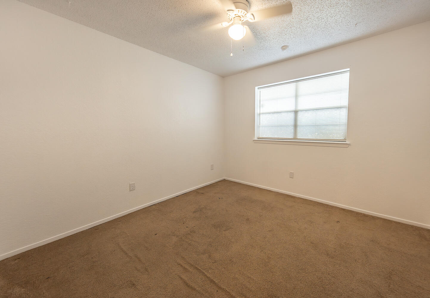 2317 78th Street Lubbock, TX 79423 - Photo 10 of 23 2L9A3903