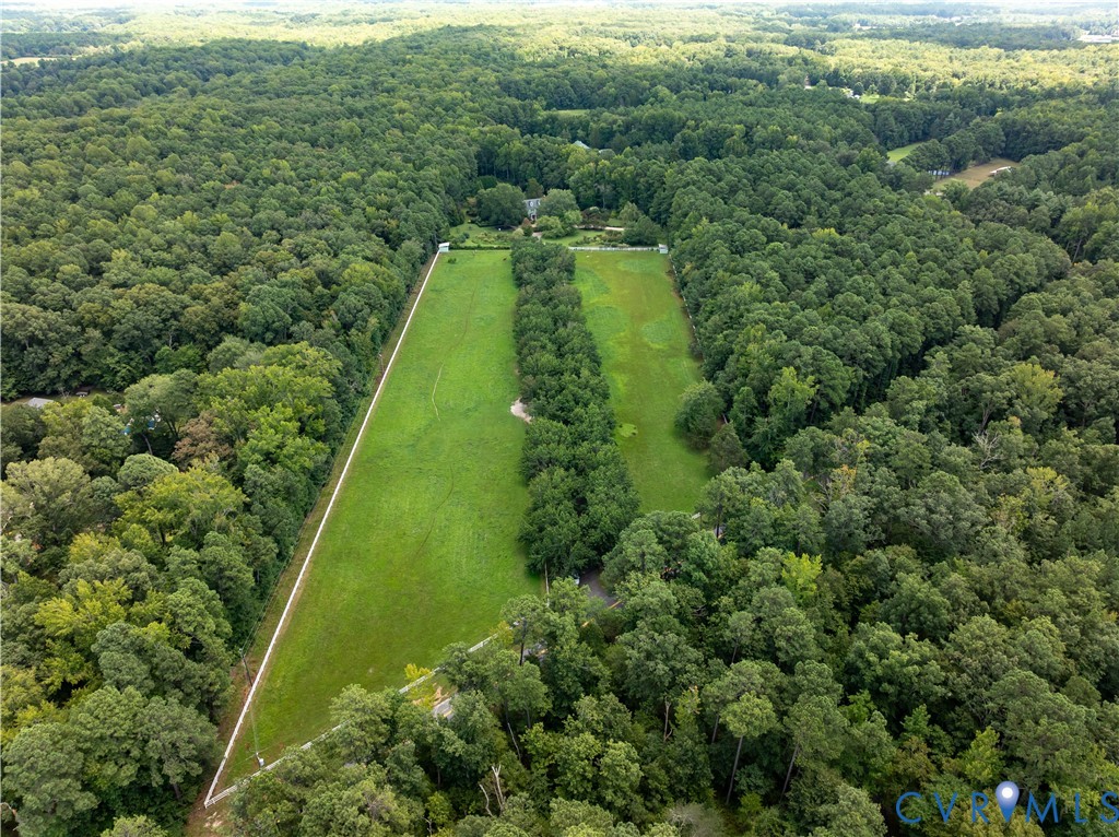 12778 Mt Hermon Road Ashland, VA 23005 - Photo 19 of 50 a view of a green yard with large trees