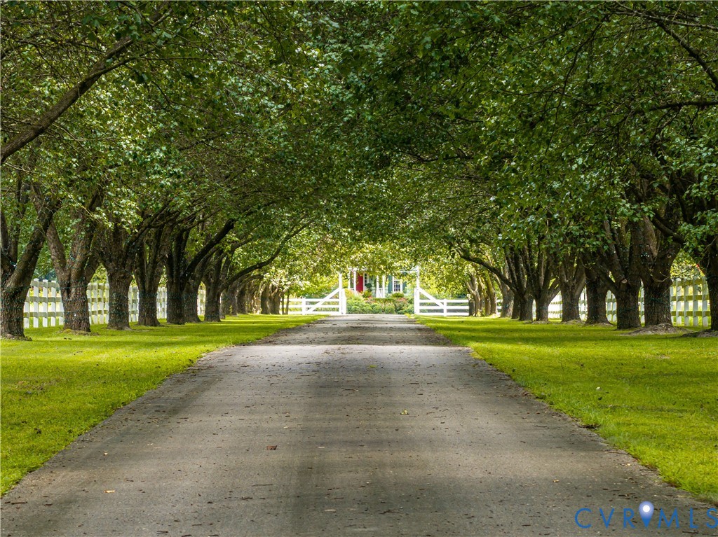 12778 Mt Hermon Road Ashland, VA 23005 - Photo 5 of 50 a view of a playground with a large tree