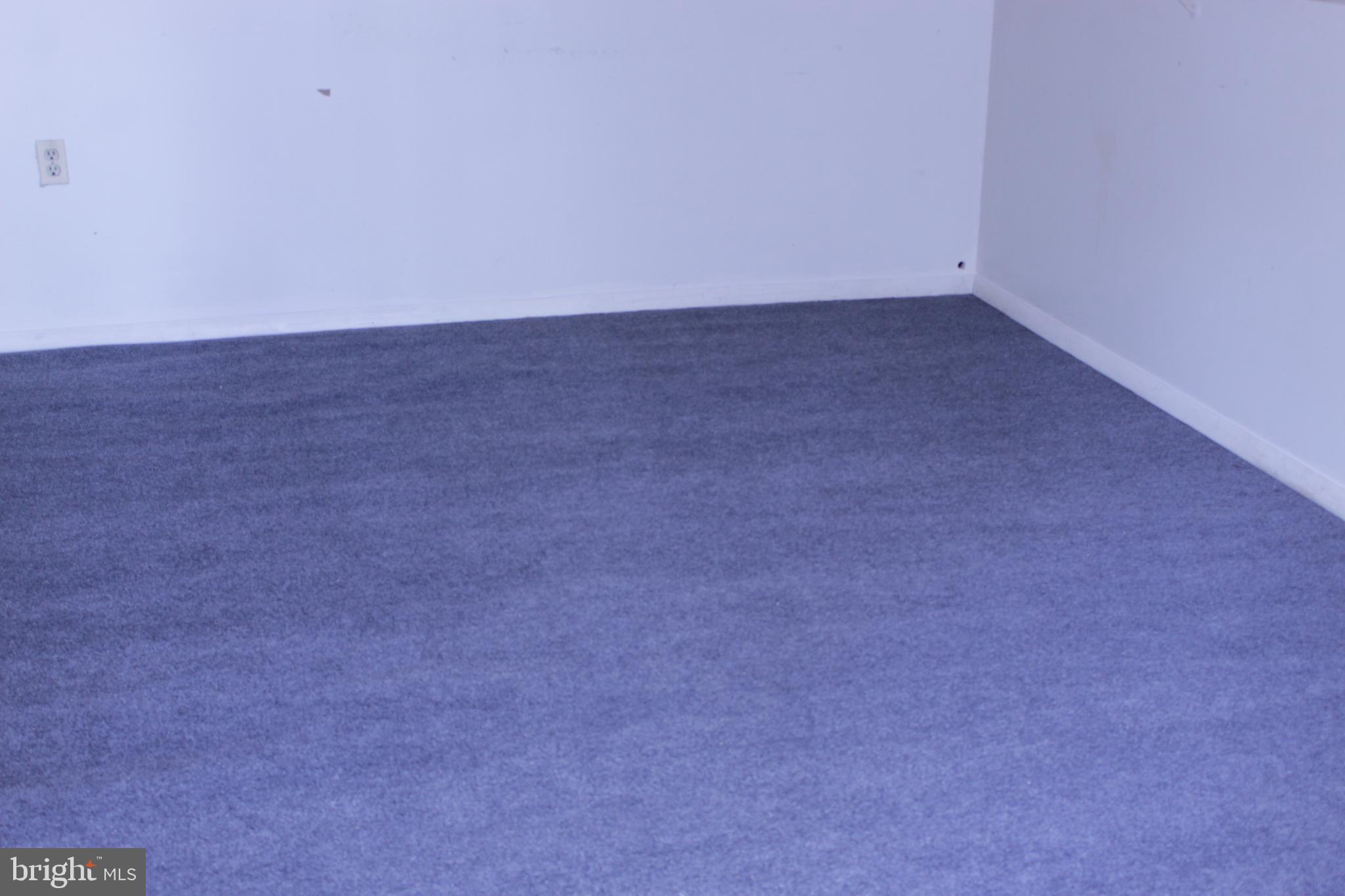 1845 Montreal Road Severn, MD 21144 - Photo 50 of 61 New Carpet in Back Basement Room