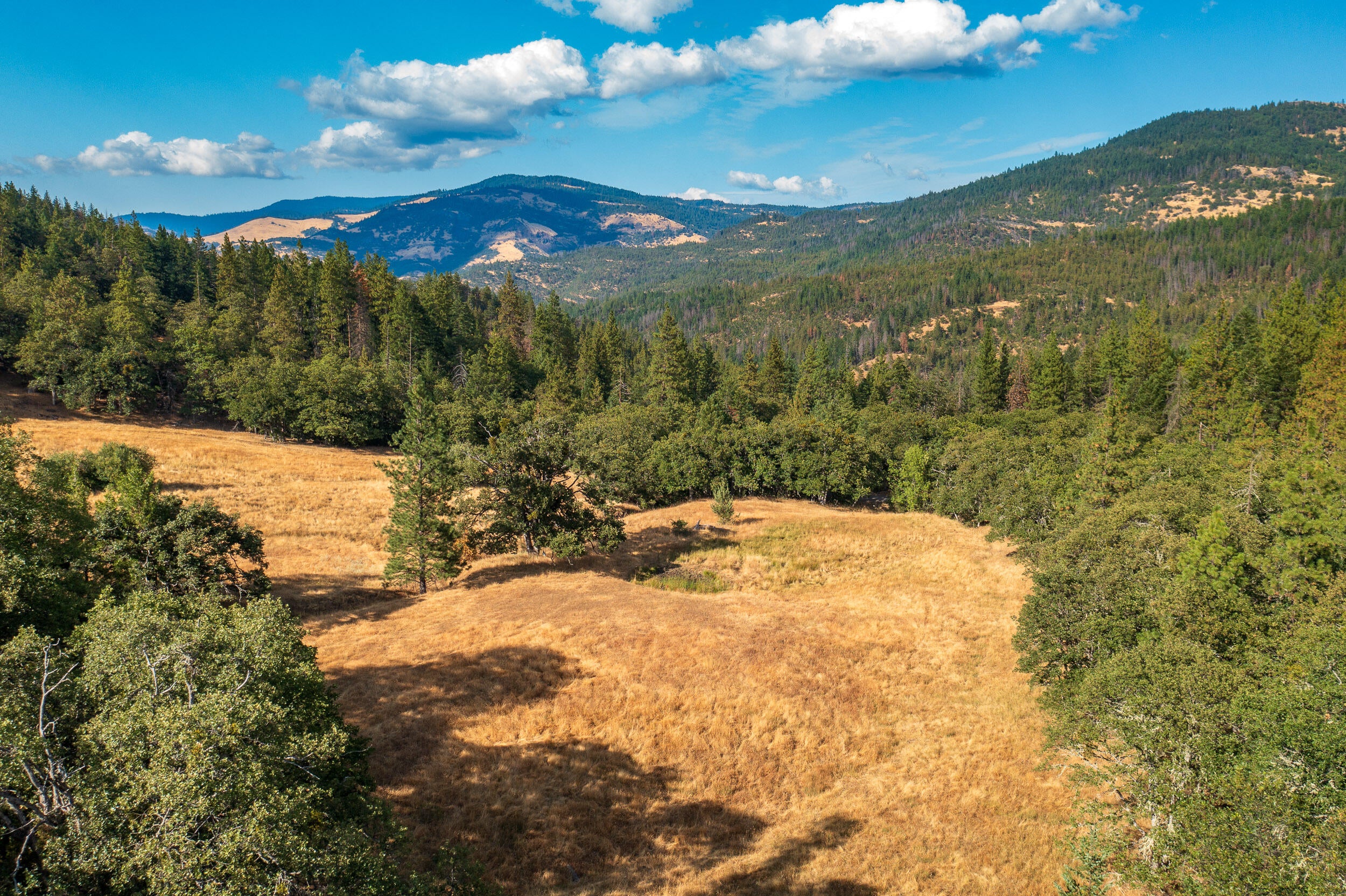 0 Buckhorn Springs Road Ashland, OR 97520 - Photo 18 of 39 Final (19)