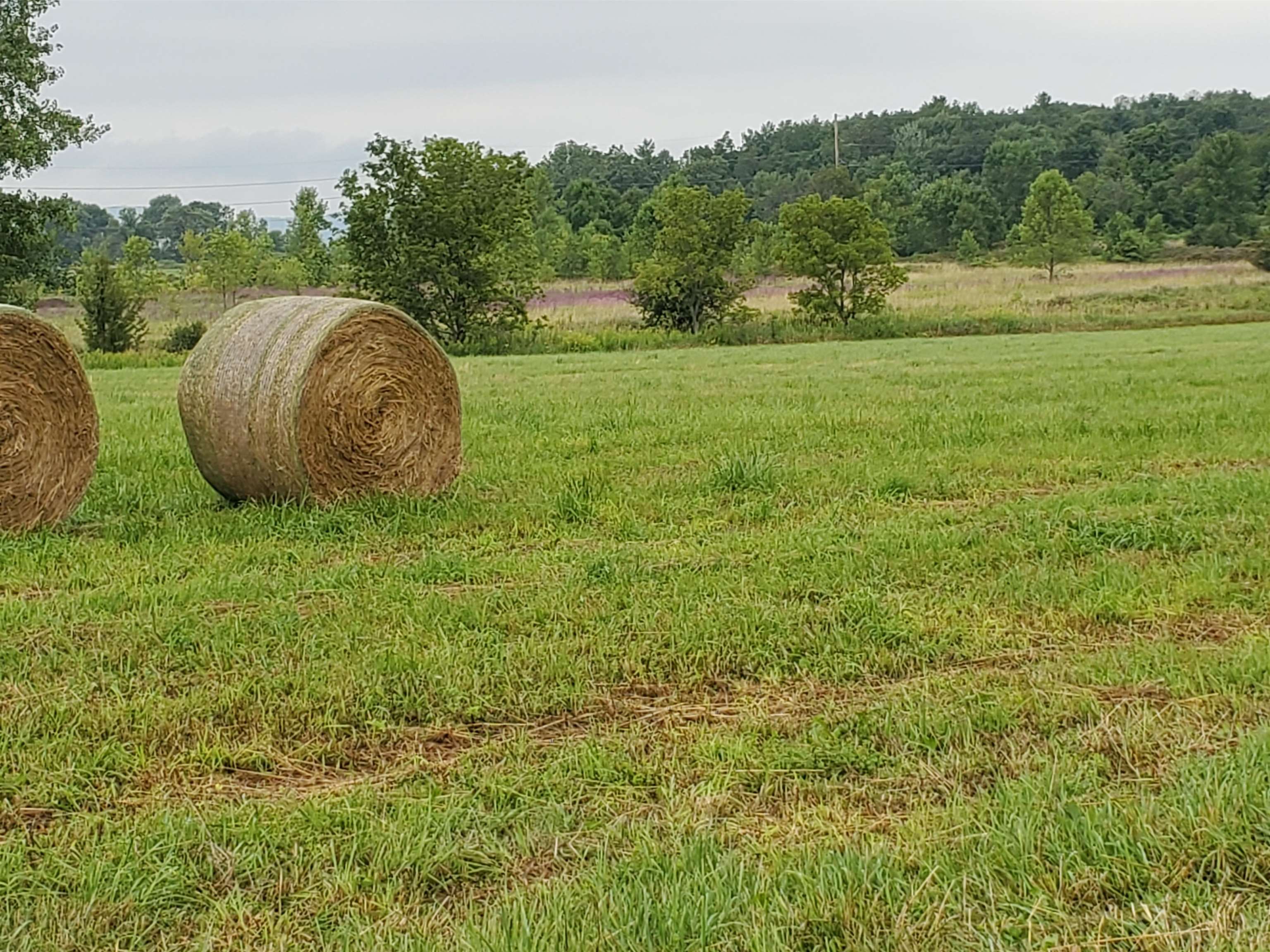 Tbd Park Lane Ferrisburgh, VT 05456 - Photo 3 of 6