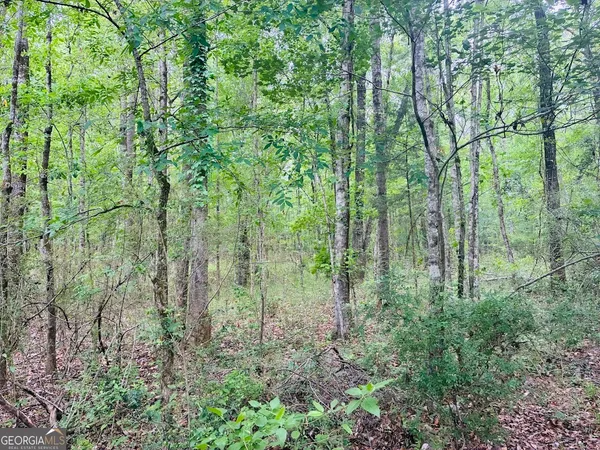 $85,200 | 0 Wall Street, Unit TRACT B, Tallassee, AL 36078