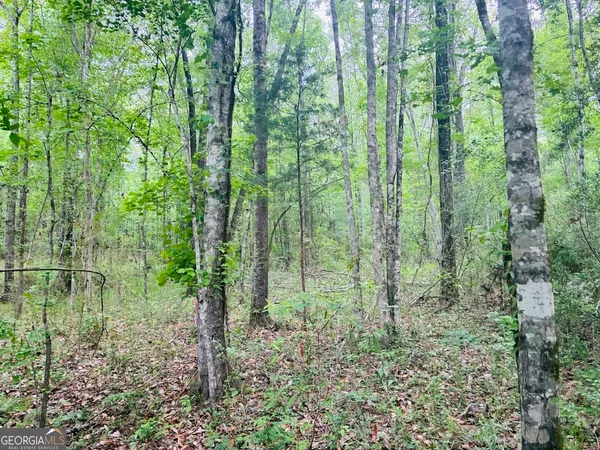 $85,200 | 0 Wall Street, Unit TRACT B, Tallassee, AL 36078
