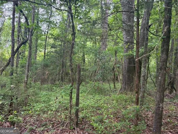 $85,200 | 0 Wall Street, Unit TRACT B, Tallassee, AL 36078