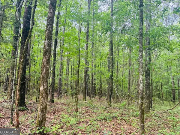 $85,200 | 0 Wall Street, Unit TRACT B, Tallassee, AL 36078