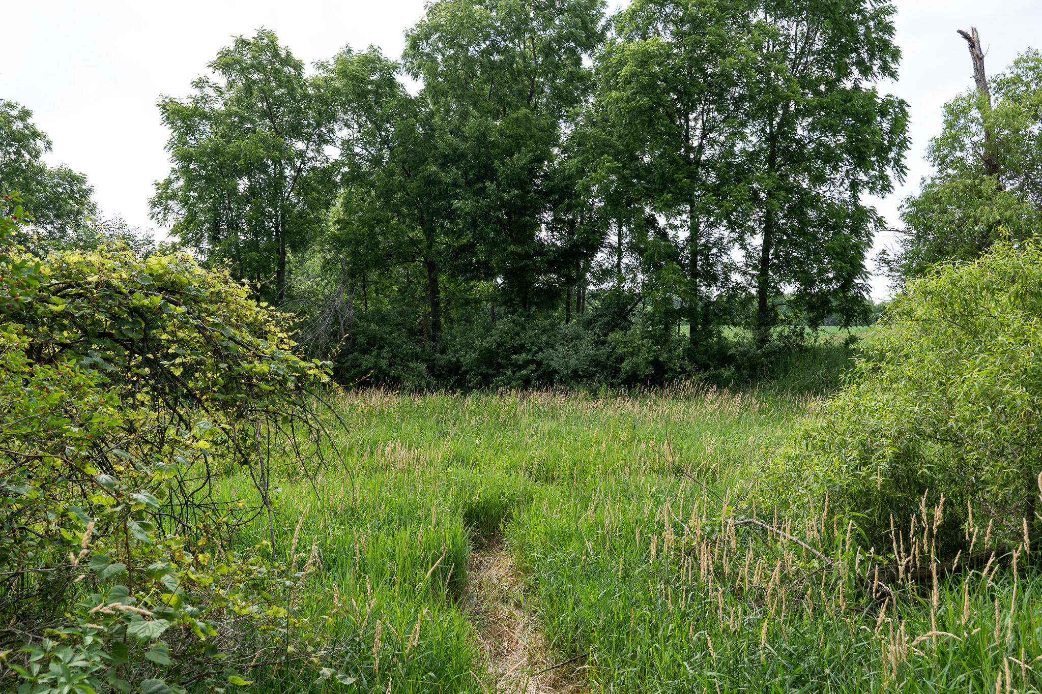 3282 Jerome Road North North Adams, MI 49262 - Photo 27 of 34 P1067871