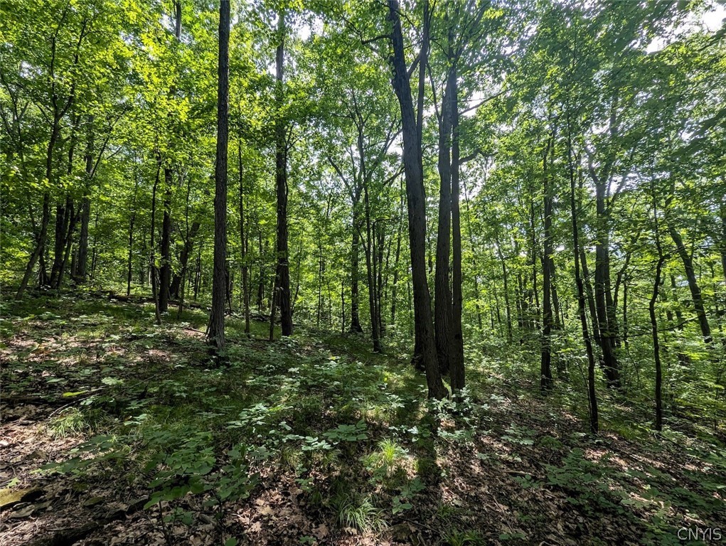 Keifer Hollow Road Dansville, NY 14437 - Photo 23 of 33