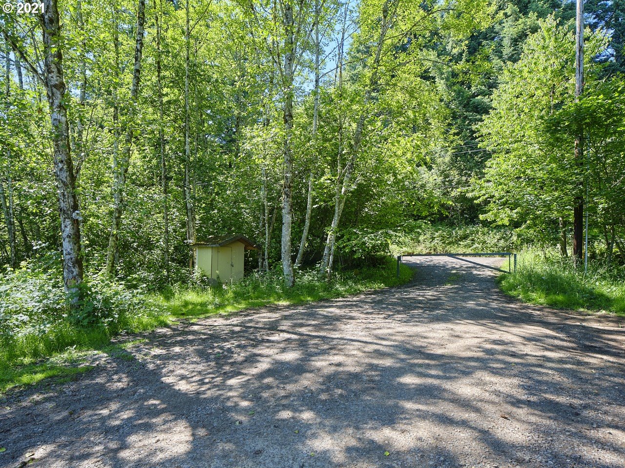 6121 Northeast Lessard Road Camas, WA 98607 - Photo 15 of 26 a view of a out door of the forest