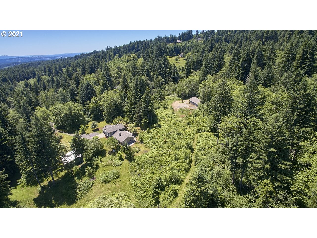 6121 Northeast Lessard Road Camas, WA 98607 - Photo 5 of 26 a black and white photo of a forest