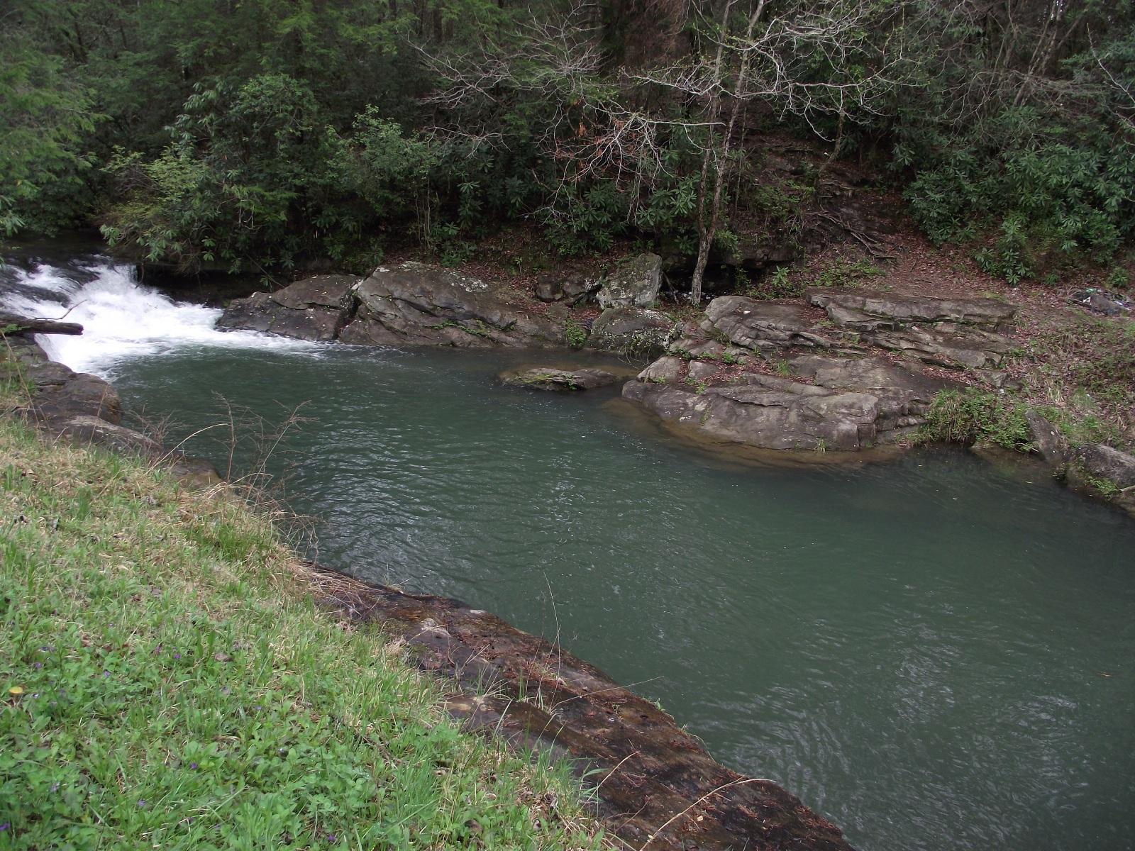 3427 Pocket Road Whitwell, TN 37397 - Photo 2 of 18 Stocked trout stream!