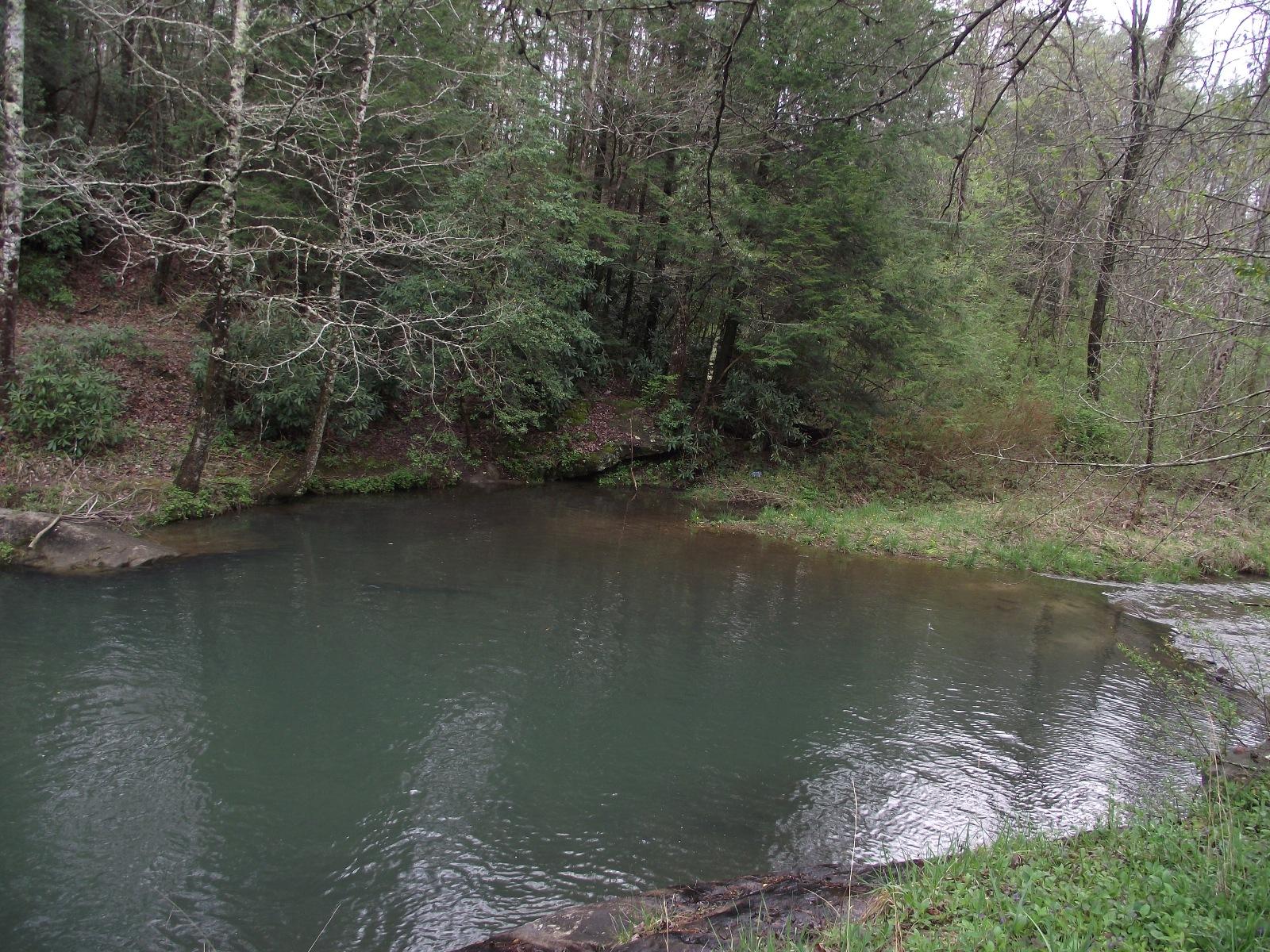 3427 Pocket Road Whitwell, TN 37397 - Photo 14 of 18 Pond
