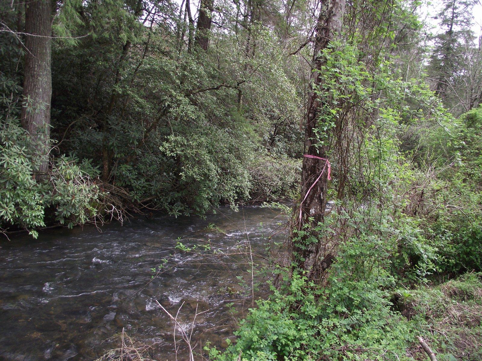 3427 Pocket Road Whitwell, TN 37397 - Photo 16 of 18 So peaceful!