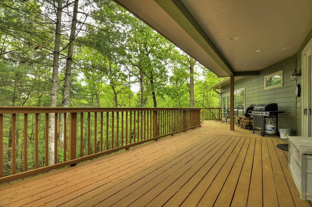 131 Lost Mine Road Ellijay, GA 30536 - Photo 45 of 58 Gallery Image 45