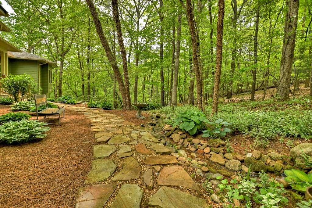 131 Lost Mine Road Ellijay, GA 30536 - Photo 5 of 58 Gallery Image 5