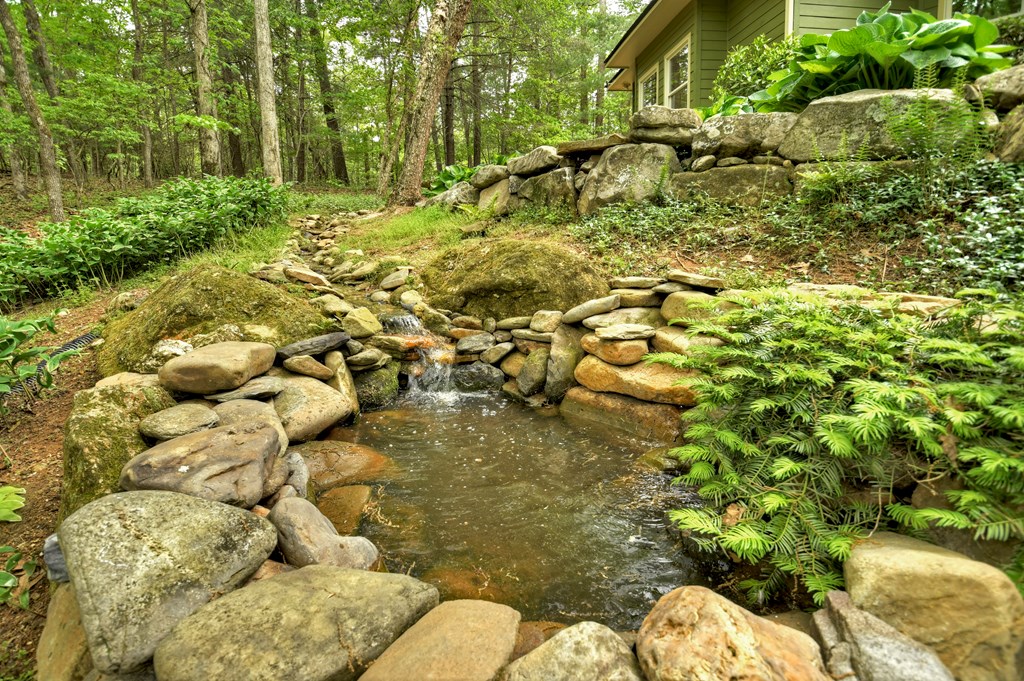 131 Lost Mine Road Ellijay, GA 30536 - Photo 8 of 58 Gallery Image 8