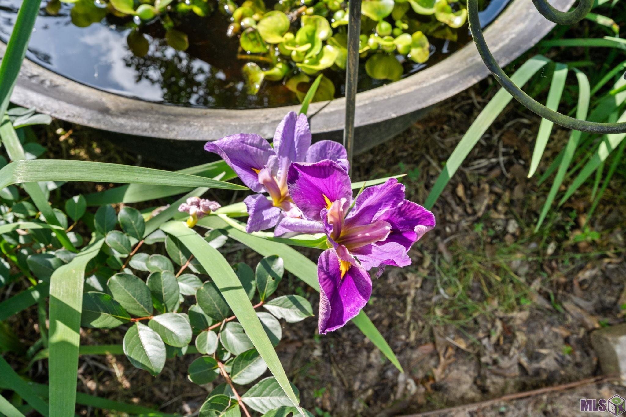 5722 Highland Road St. Francisville, LA 70775 - Photo 20 of 23