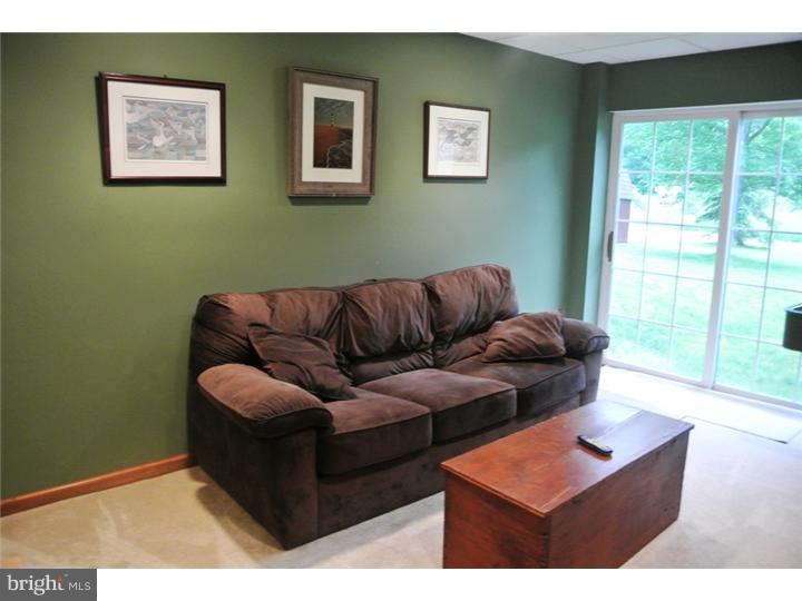 1770 Red Bud Road Quakertown, PA 18951 - Photo 22 of 25 Basement - Finished