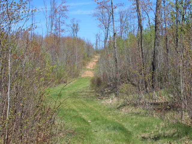 19081 Erickson Drive Dunbar, WI 54119 - Photo 30 of 87