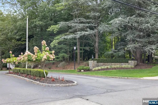a view of a park with plants and trees